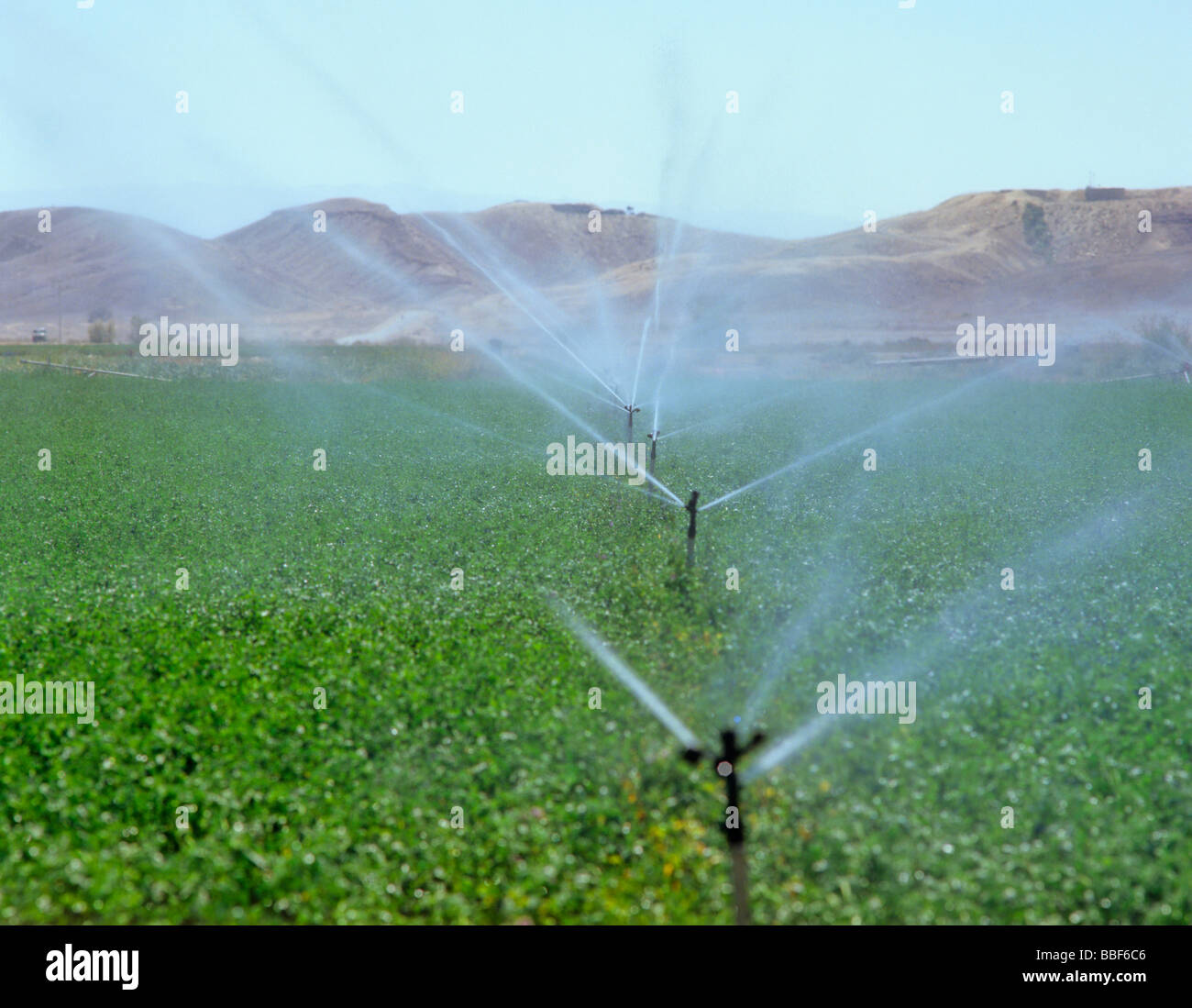 Irrigazione dei campi in Tunisia Foto Stock
