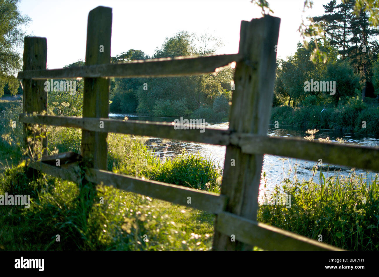Fiume Nene corre attraverso la campagna vicino a Peterborough, CAMBRIDGESHIRE, Regno Unito Foto Stock