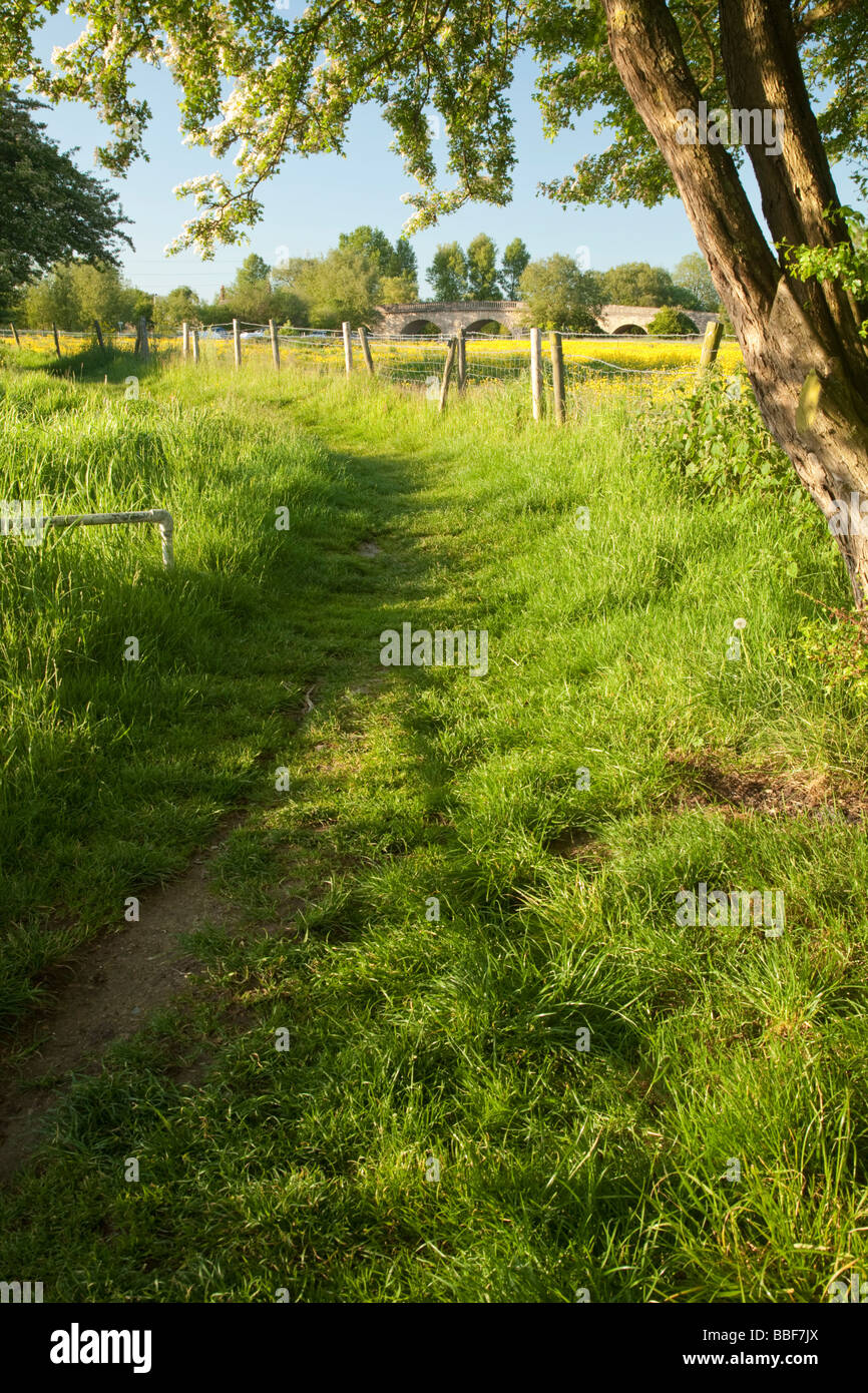 Guardando lungo il Tamigi percorso verso Swinford ponte a pedaggio in Oxfordshire Uk Foto Stock