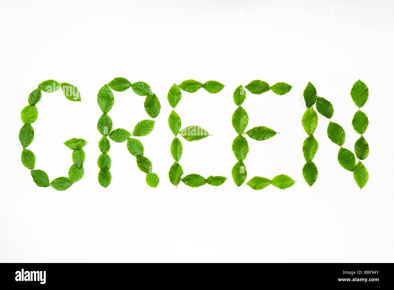 La parola " verde " fuori di farro con foglie. Foglie di faggio. Foto Stock
