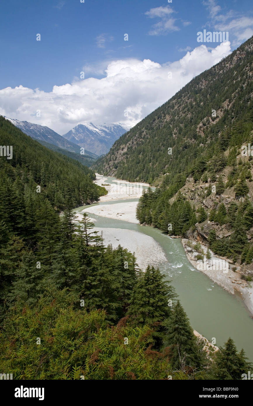 Il fiume Gange. Vicino a Gangotri. Uttarakhand. India Foto Stock