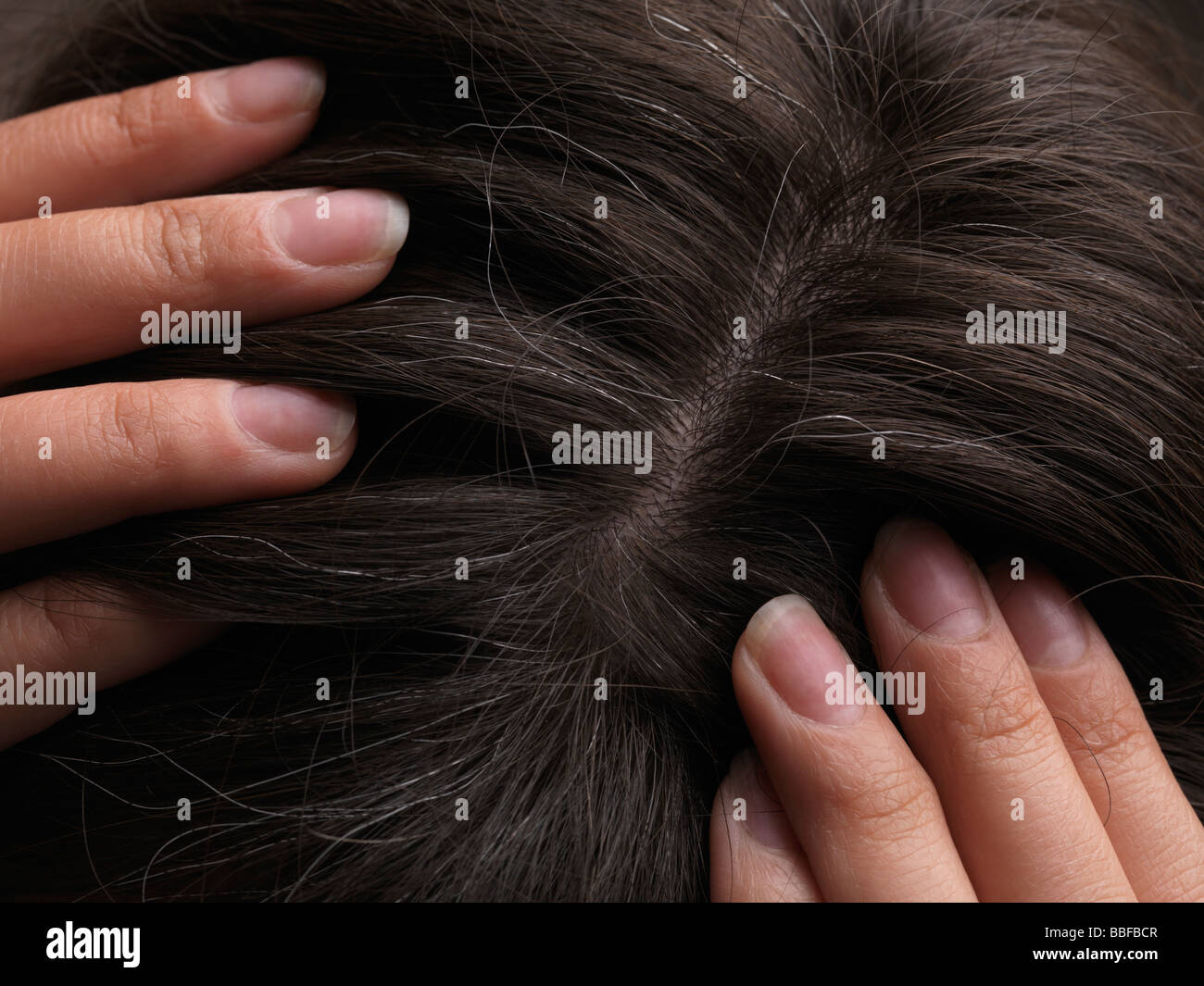 I capelli grigi su una testa di donna Foto Stock