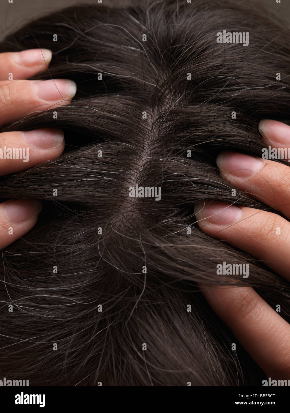 I capelli grigi su una testa di donna Foto Stock