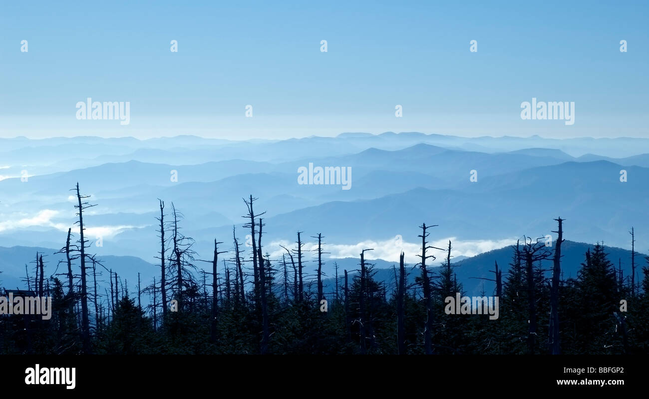 Incredibile Smoky Mountains vista panoramica da Clingman s Dome Foto Stock
