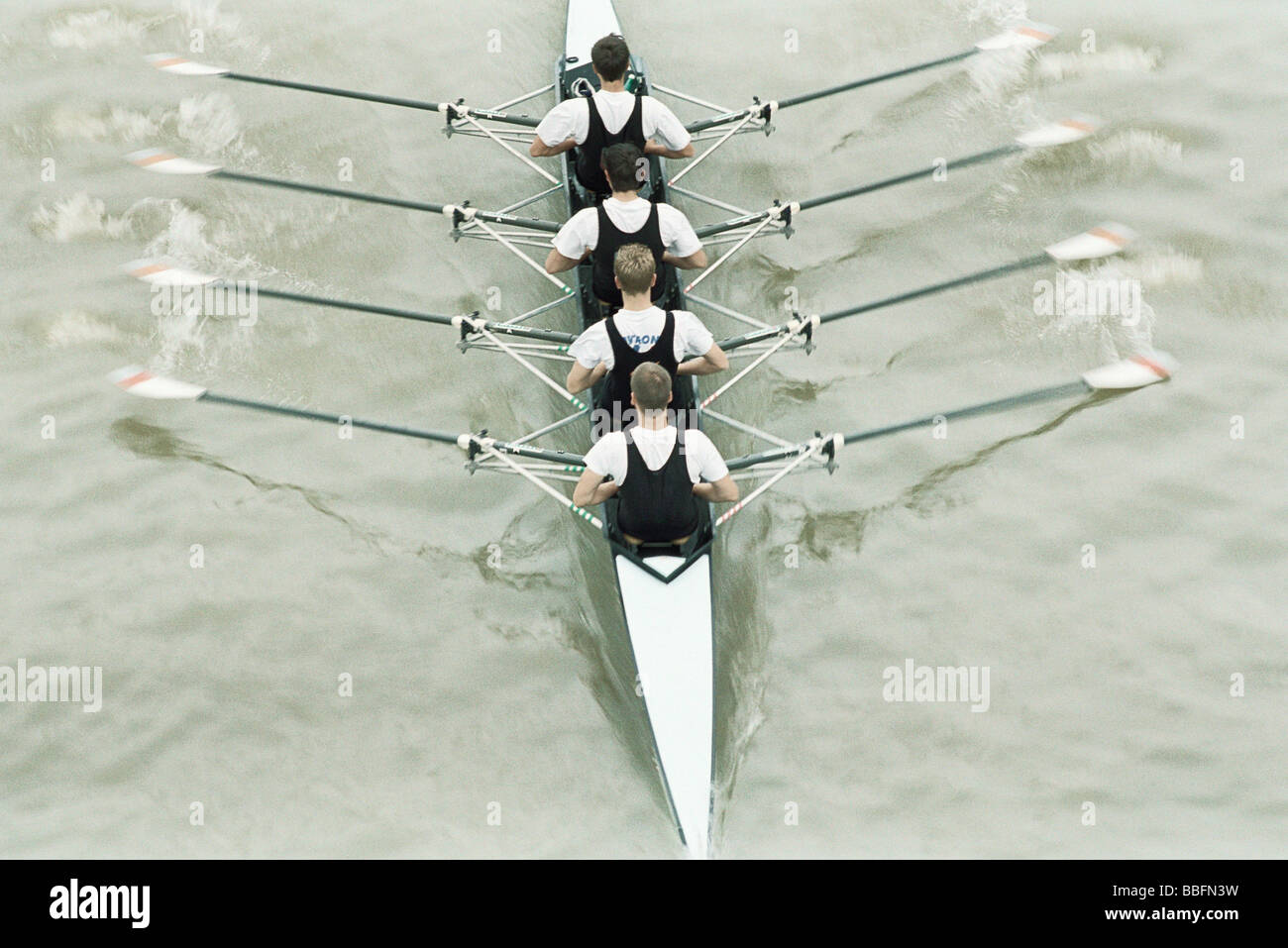 Il team di canottaggio canottaggio scull, remi fuori acqua, ad alto angolo di visione Foto Stock