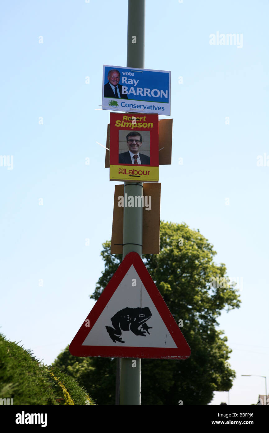 Elezioni politiche poster a fianco di un rospo attraversando segno su una strada del Regno Unito Foto Stock
