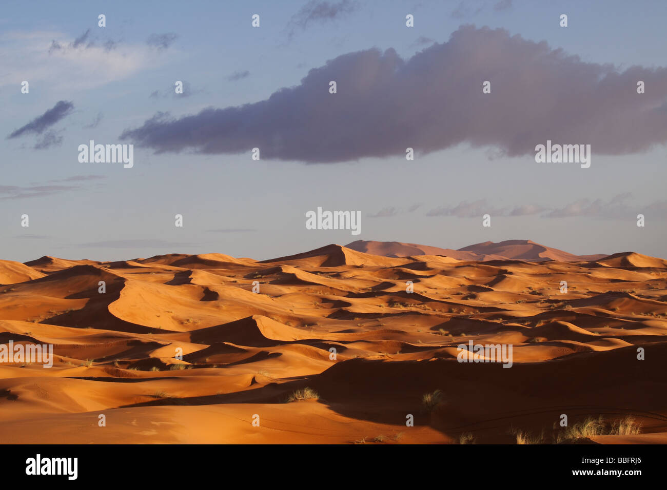Africa, Nord Africa, Marocco deserto del Sahara, Merzouga Erg Chebbi Foto Stock