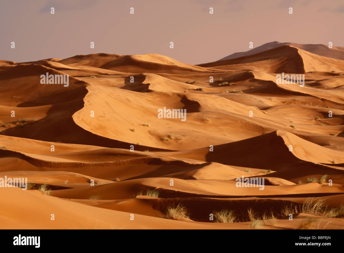 Africa, Nord Africa, Marocco deserto del Sahara, Merzouga Erg Chebbi Foto Stock