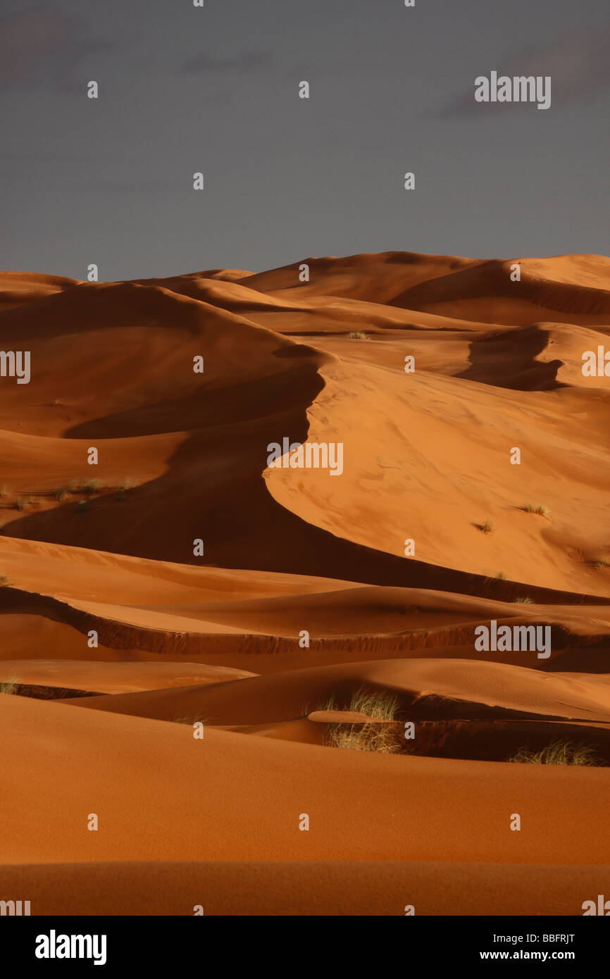 Africa, Nord Africa, Marocco deserto del Sahara, Merzouga Erg Chebbi, Sundown Foto Stock
