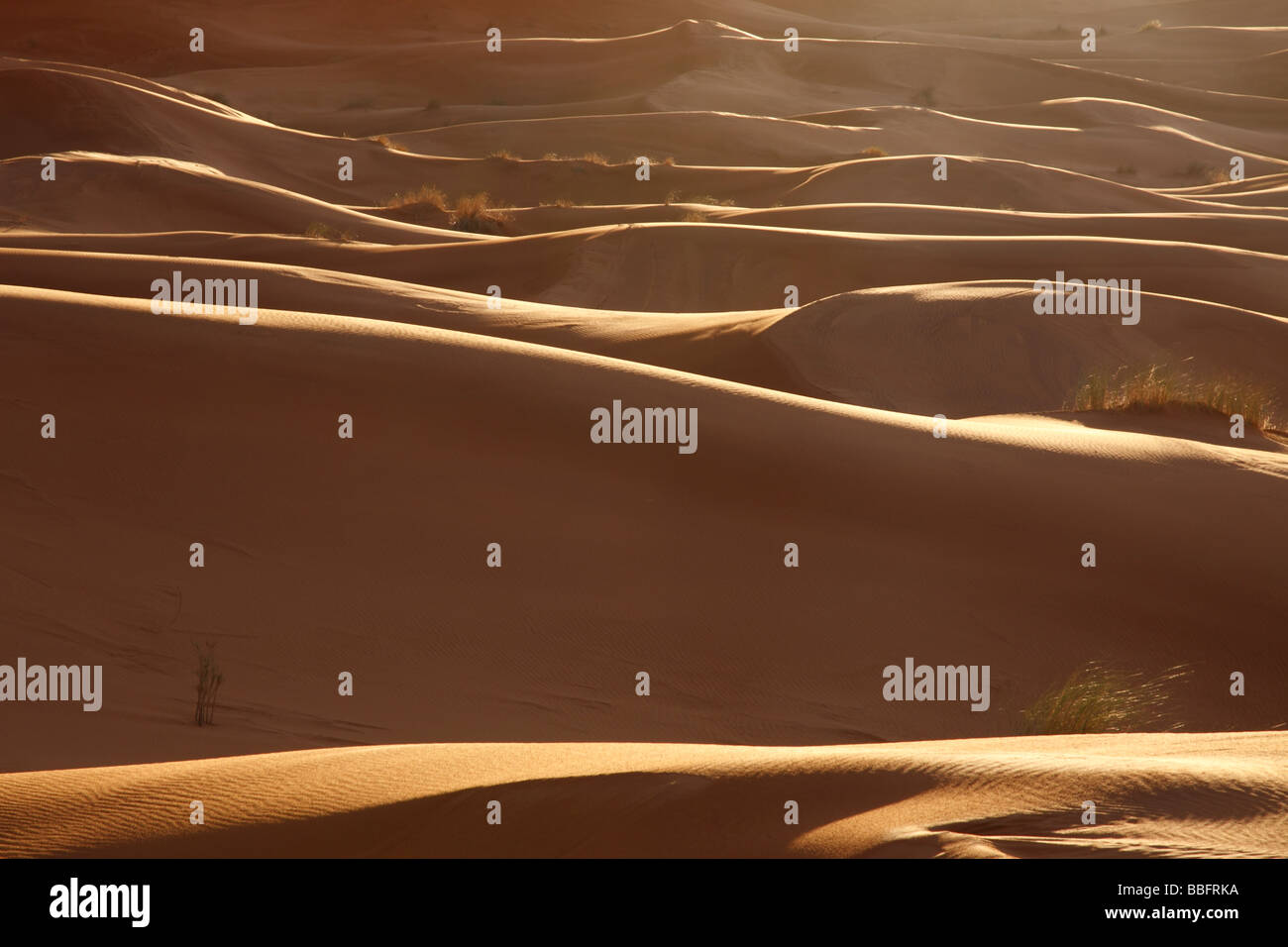 Africa, Nord Africa, Marocco deserto del Sahara, Merzouga Erg Chebbi, Alba Foto Stock
