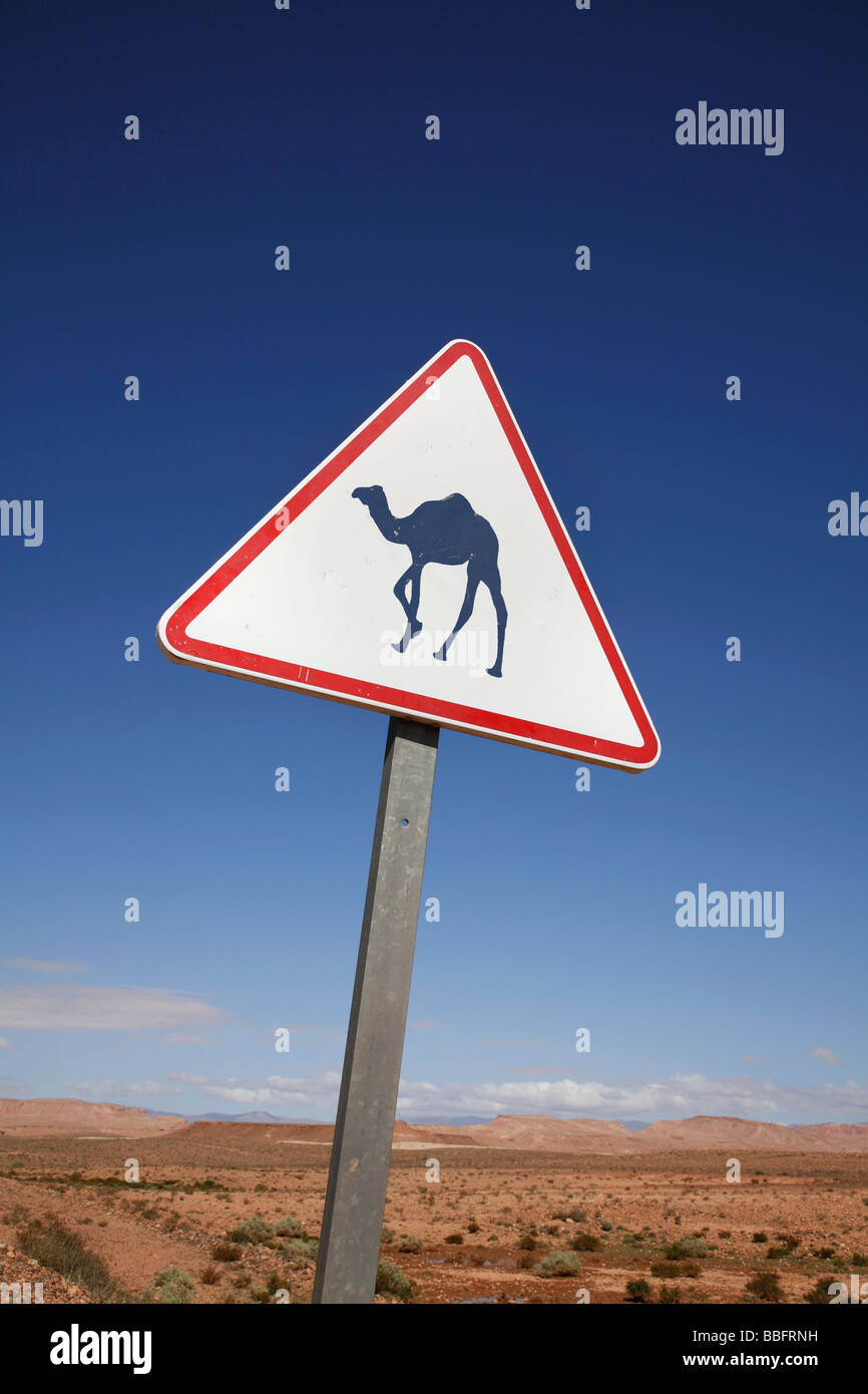 Africa, Nord Africa, Marocco deserto del Sahara, Merzouga Erg Chebbi, segno del cammello Foto Stock