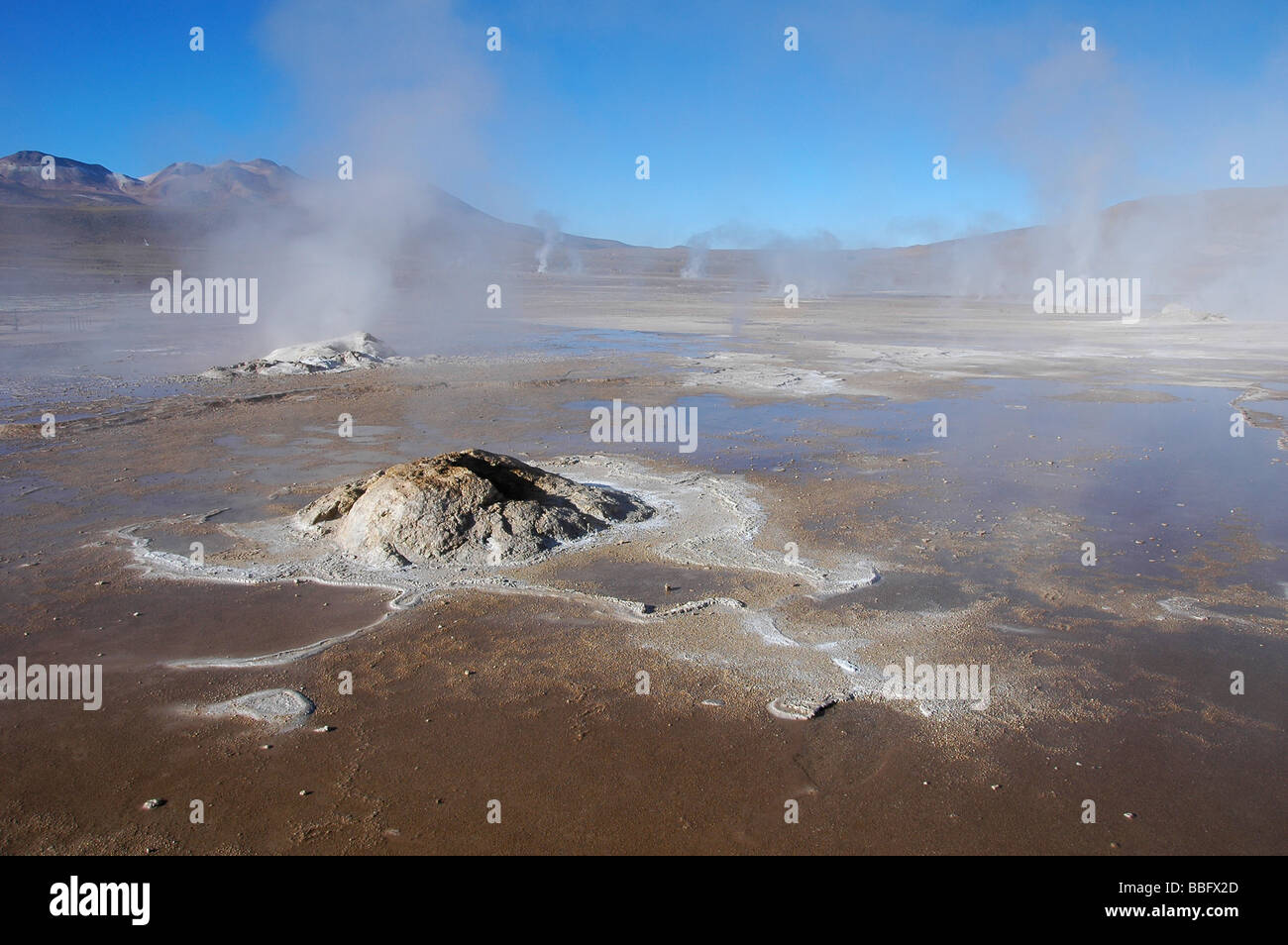 Geyser Tatio, Cile Foto Stock