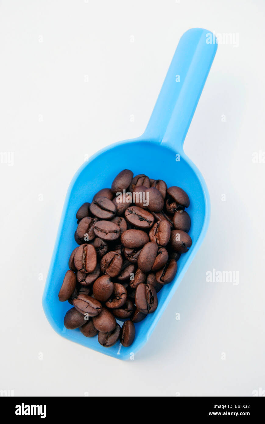 Farina di blu convogliatore riempito con i chicchi di caffè Foto Stock