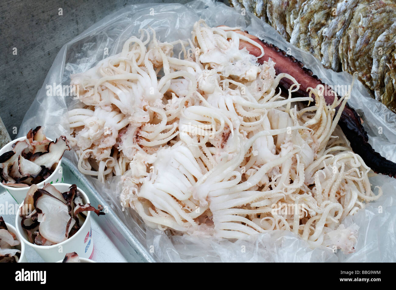 Essiccato calamari, polpi, seppie, cibo Coreano, mercato a Seul, Corea del Sud, Asia Foto Stock