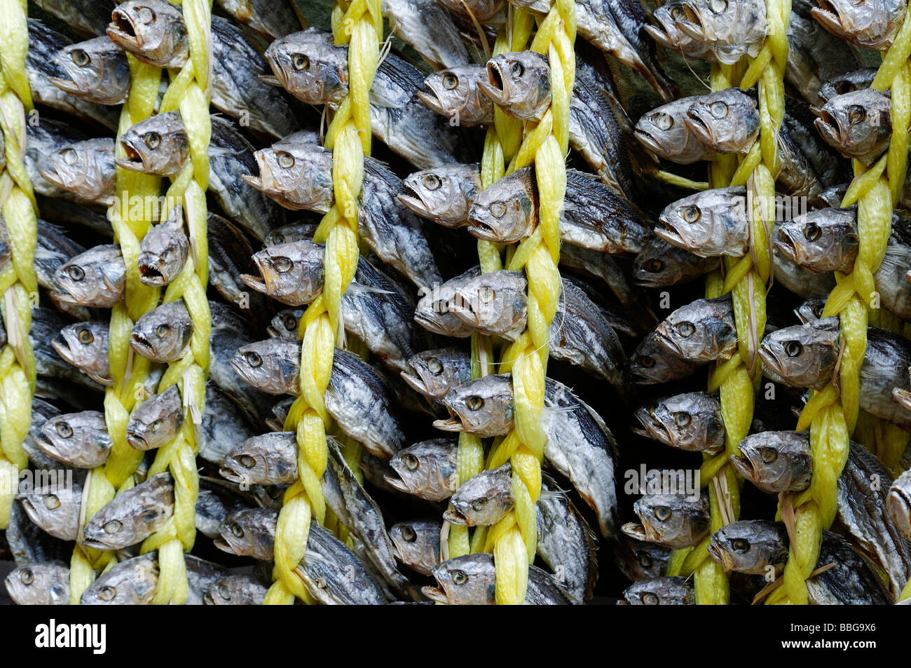 Cibo coreano, pesce essiccati in un mercato di Seoul, Corea del Sud, Asia Foto Stock