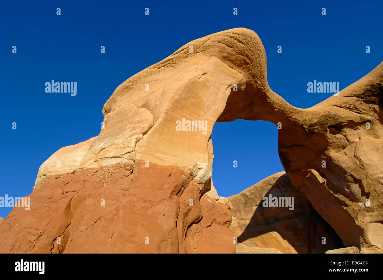 Metate Arch, STATI UNITI D'AMERICA, Utah, Escalante monumento nazionale Foto Stock