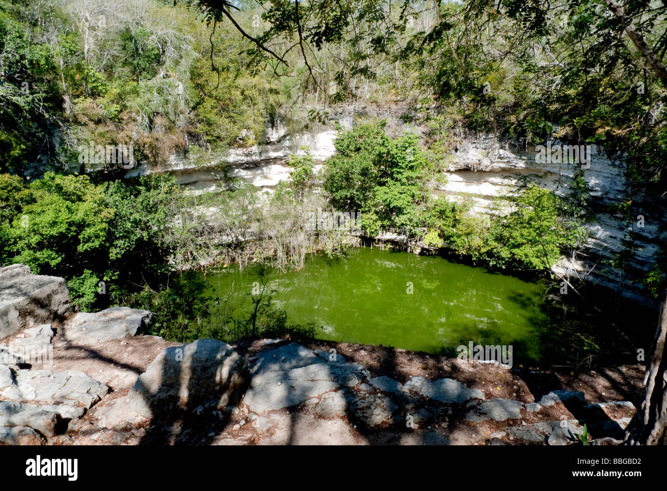 Cenote, santo primavera, Cenote Sagrado in Chichen Itza, Yucatan, Messico, America Centrale Foto Stock