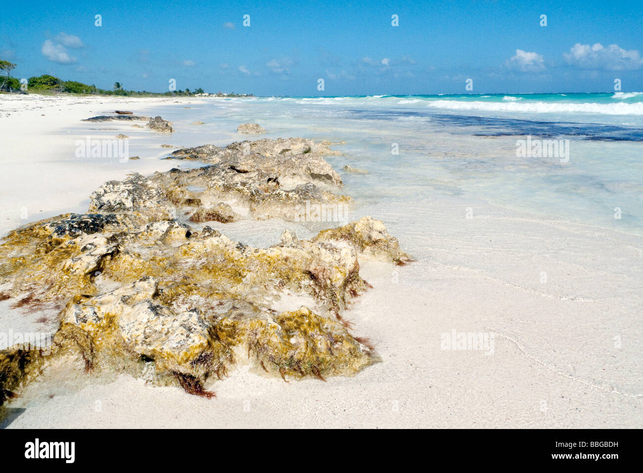 Spiaggia sulla Riviera Maya Tulum, Quintana Roo, Messico, America Centrale Foto Stock