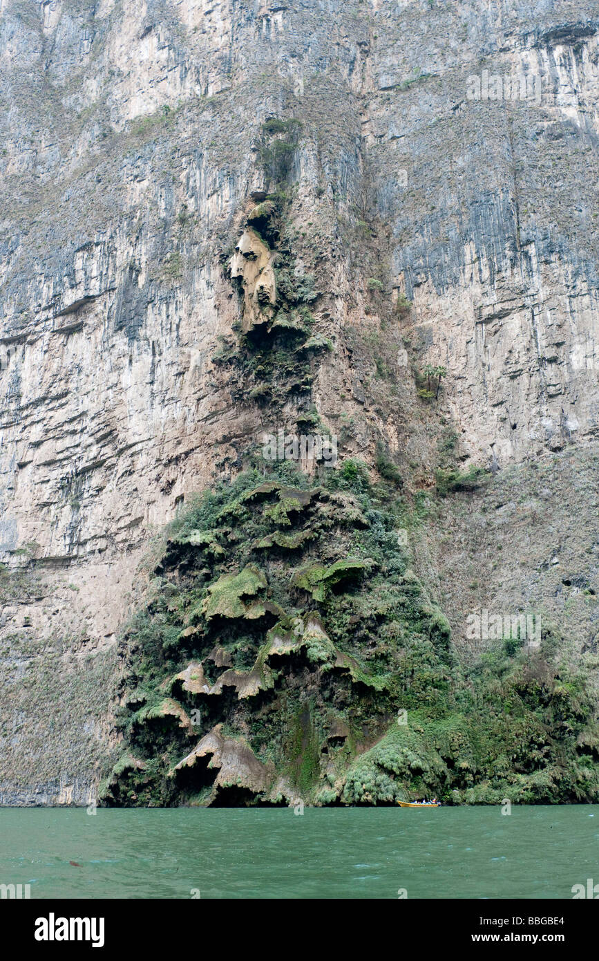 Canon del Sumidero, Sumidero Gorge, Sumidero Canyon, con la formazione di calcare El Arbol de Navidad, albero di Natale, in Chiap Foto Stock