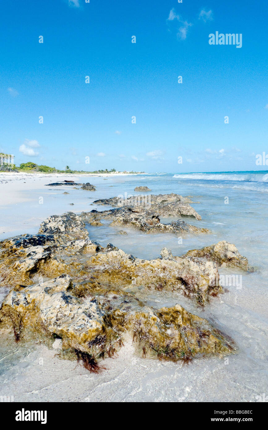 Spiaggia sulla Riviera Maya Tulum, Quintana Roo, Messico, America Centrale Foto Stock