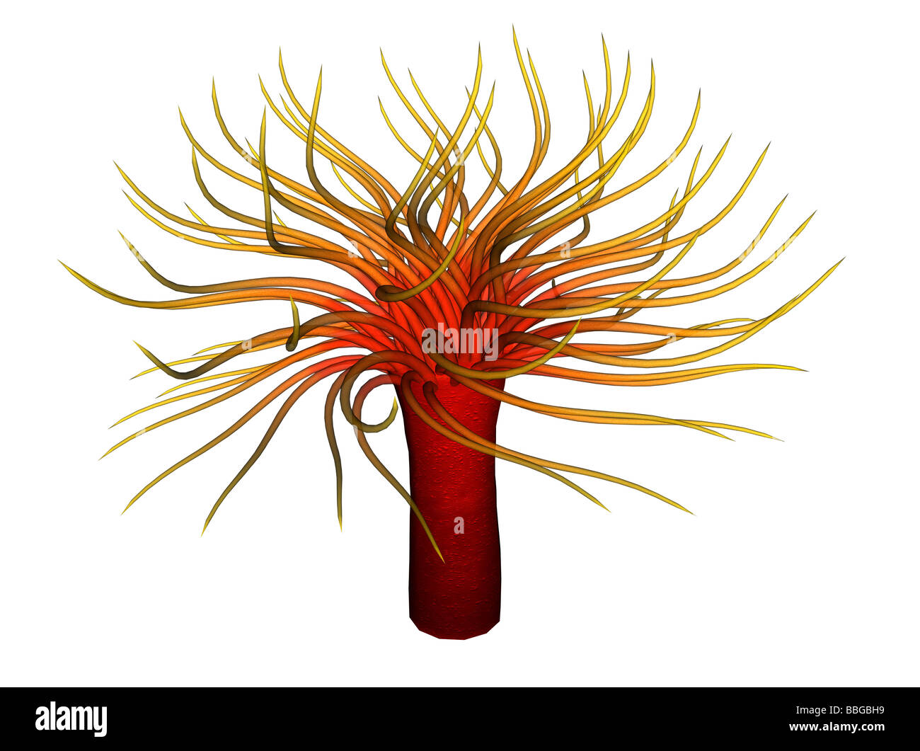 3D illustrazione di un anemone Foto Stock