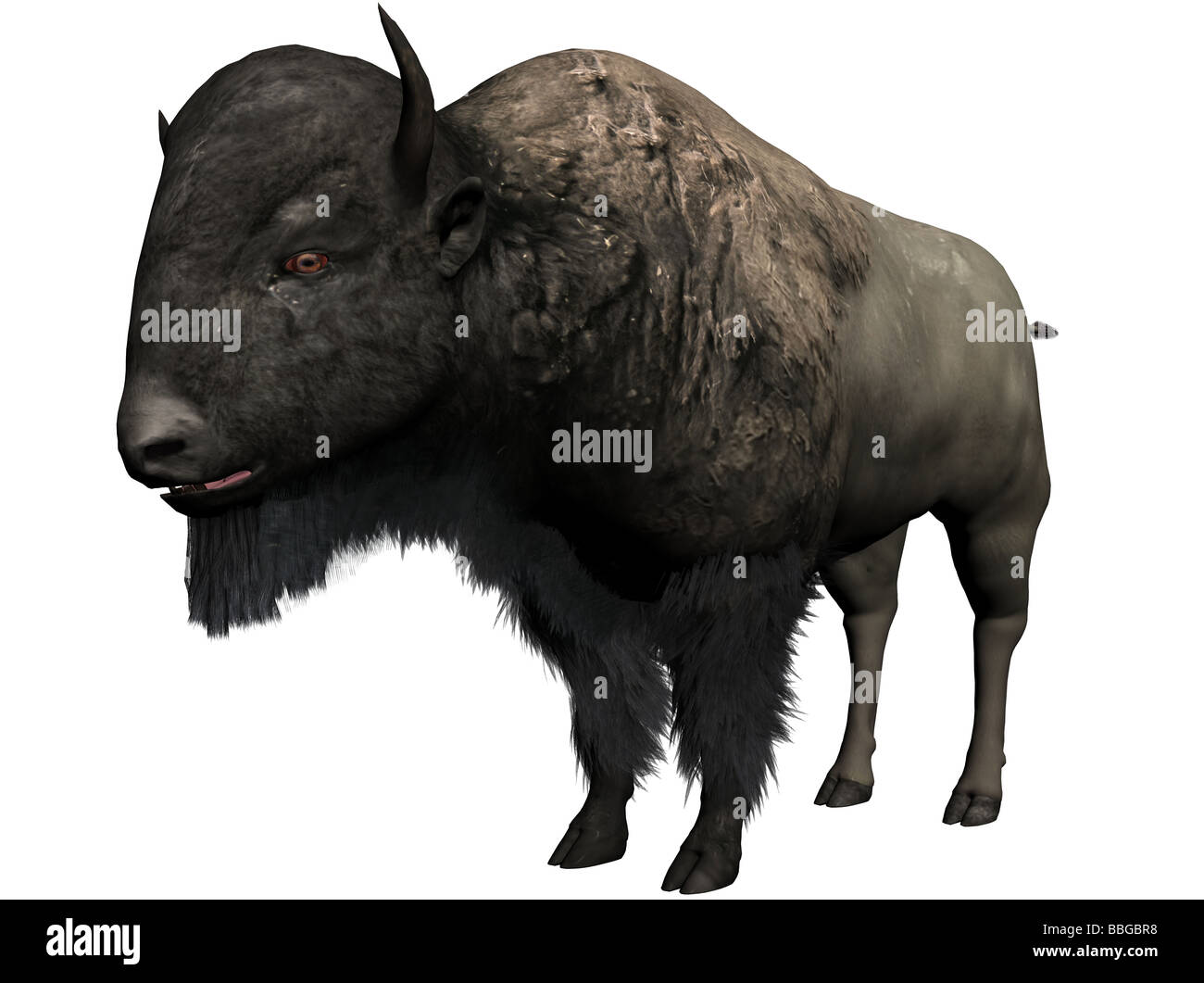 Un bison 3D illustrazione il cui rendering viene eseguito con bryce Foto Stock