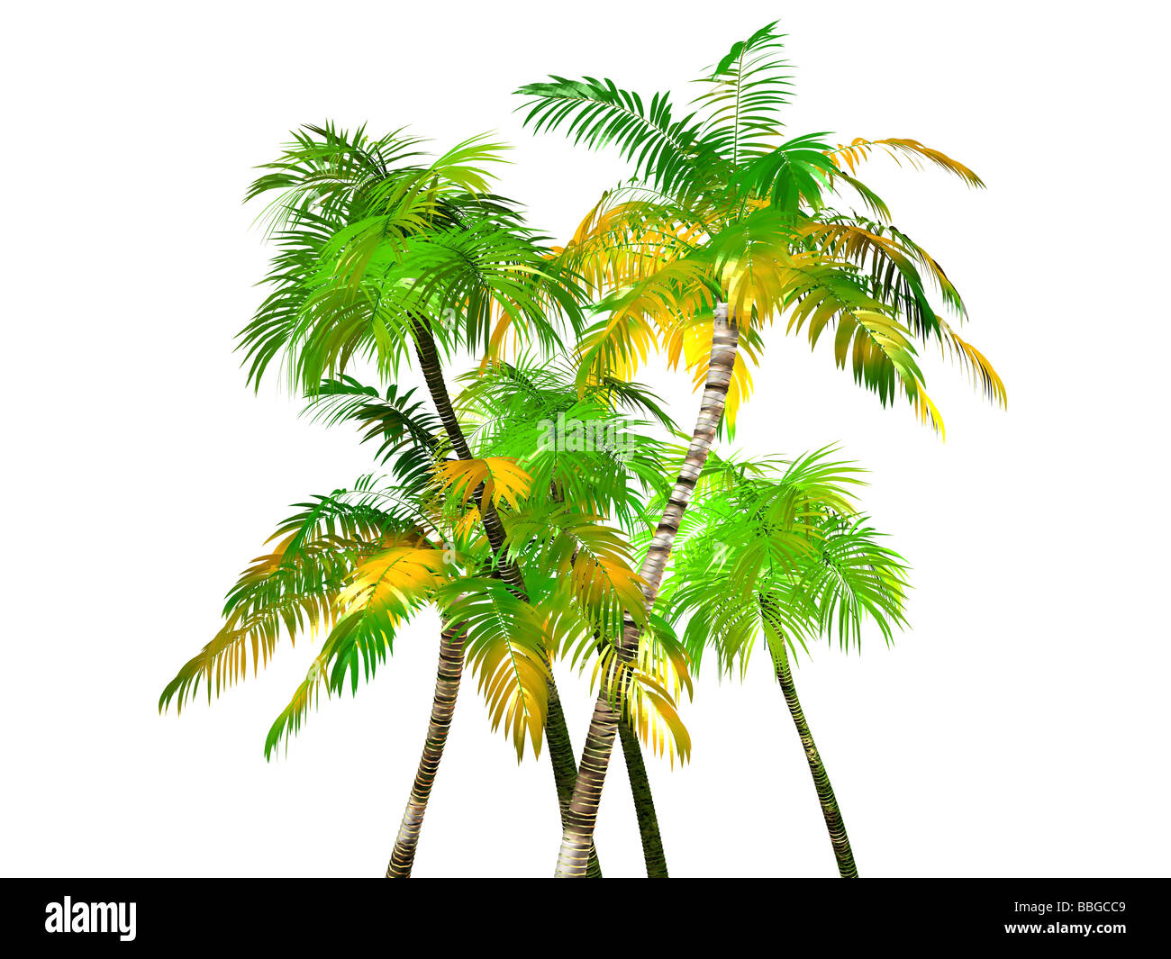 3D illustrazione di un albero di palma Foto Stock