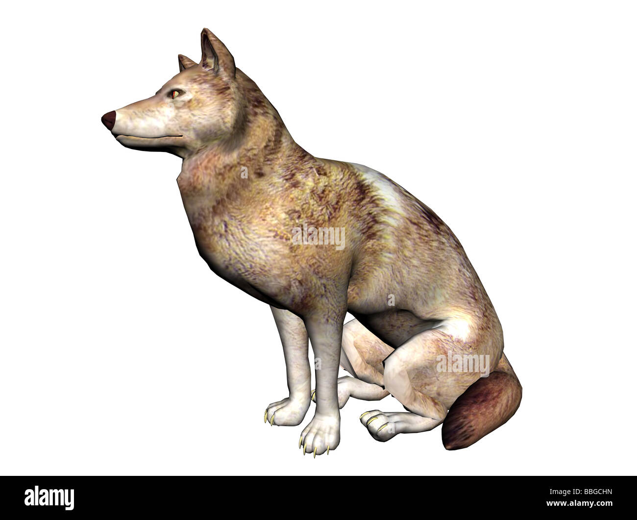 3D illustrazione di un lupo Foto Stock
