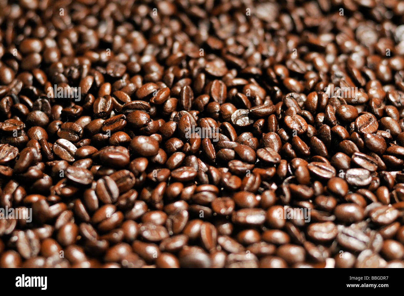 Chicchi di caffè Foto Stock