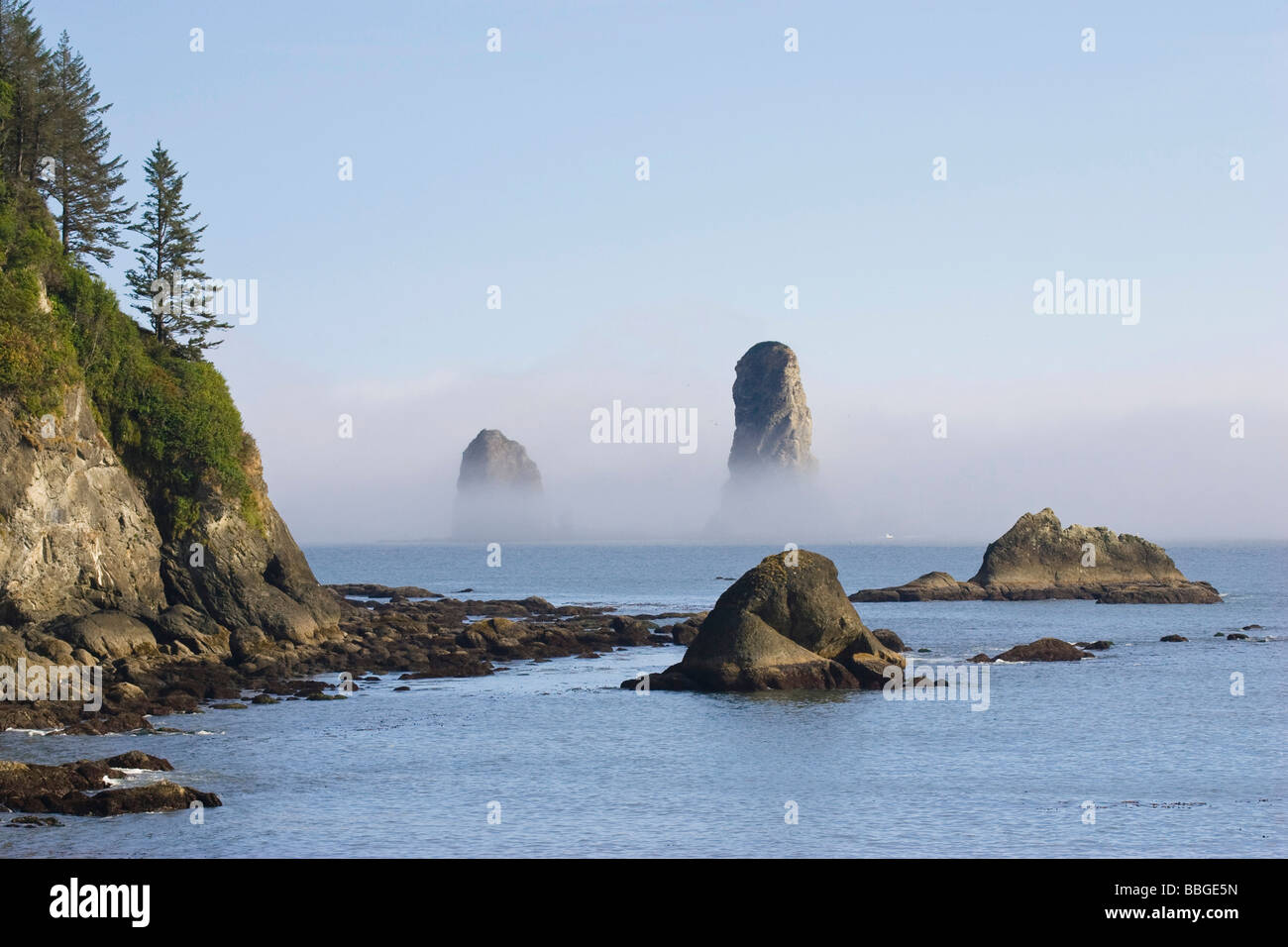 I pinnacoli sulla costa a La Push, il Parco Nazionale di Olympic, Washington, Stati Uniti d'America Foto Stock