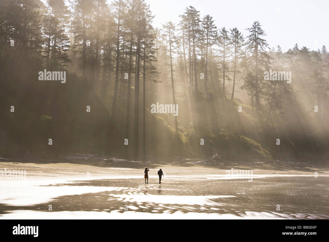 Impressioni di luce sulla costa ovest, pacifico, Penisola Olimpica, Washington, Stati Uniti d'America Foto Stock