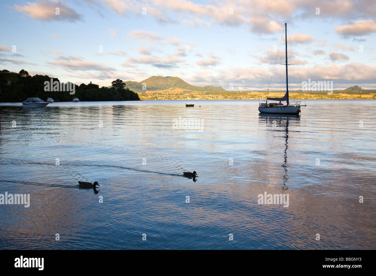 Lago Taupo in Acacia Bay Isola del nord della Nuova Zelanda Foto Stock