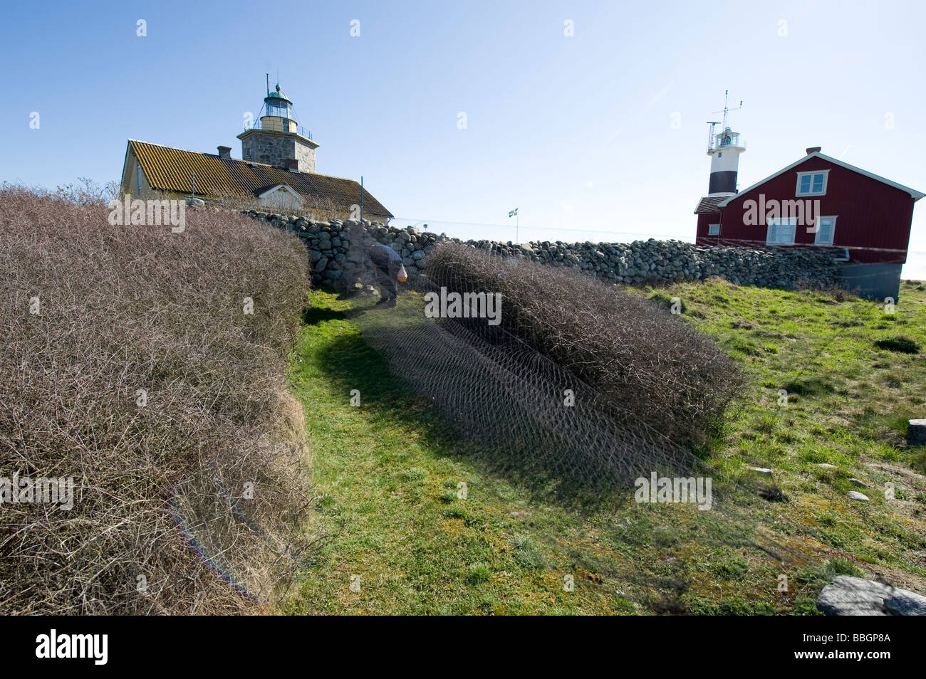 Isola Nidingen Svezia faro Foto Stock