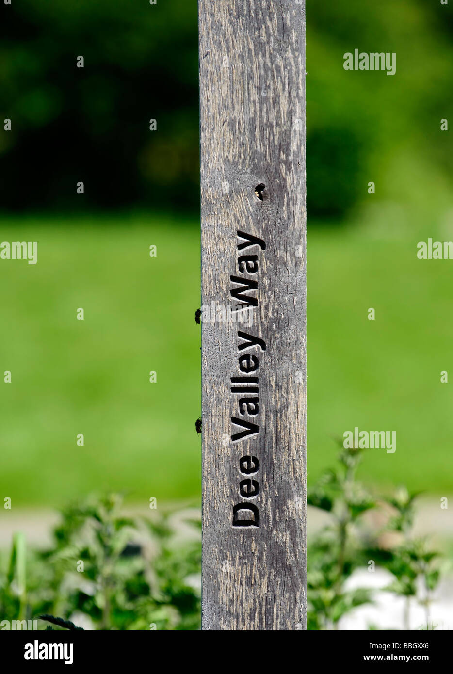 Dee Valley modo segnaletica Foto Stock