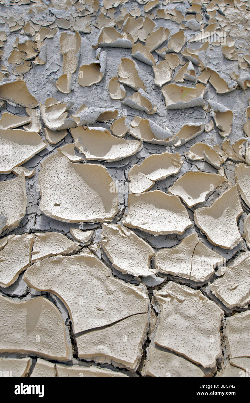 Sullo sfondo di un secco argilla incrinato assortiti di fango di una siccità Foto Stock
