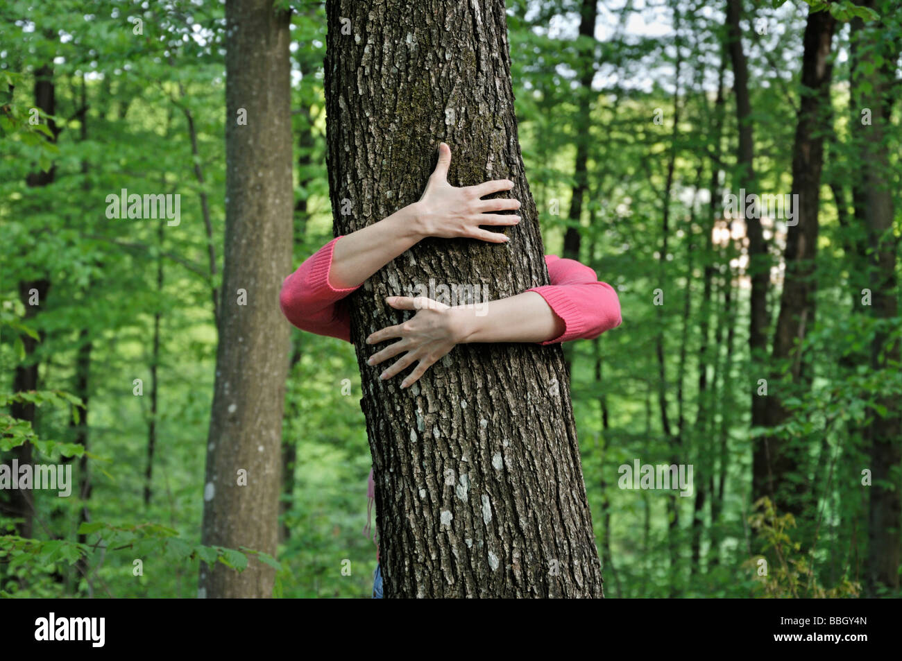 Giovane donna abbracciando albero nel bosco Foto Stock
