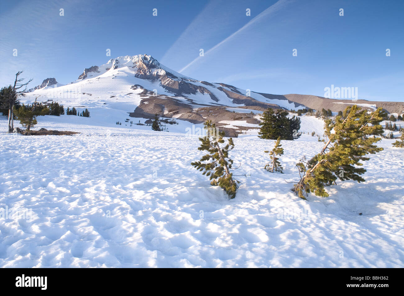 Timberline Campo di Neve del Monte Cofano Oregon Cascade Mountains Foto Stock