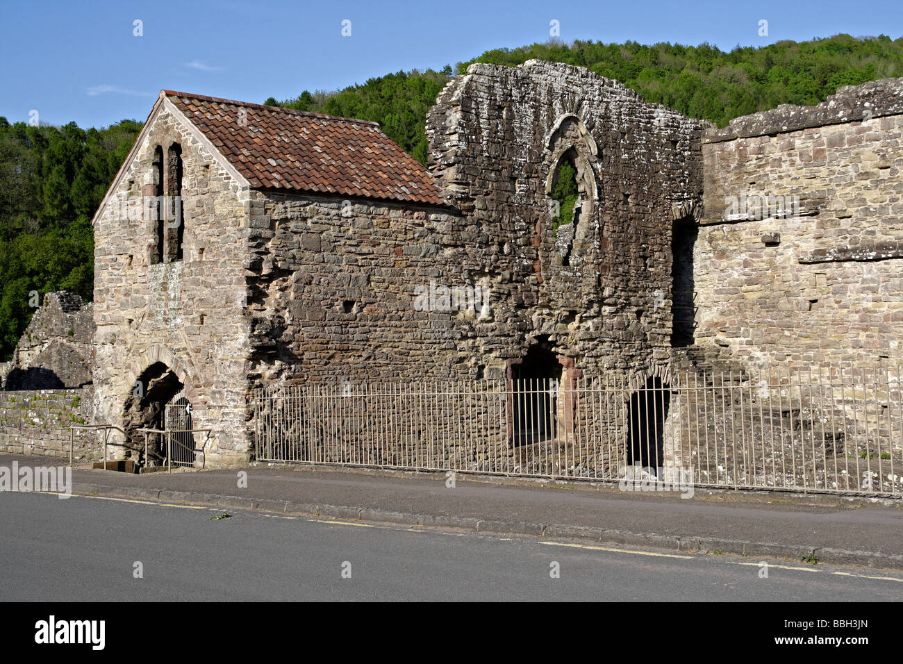 Tintern Abbey, nella valle del Wye Monmouthshire Galles Foto Stock