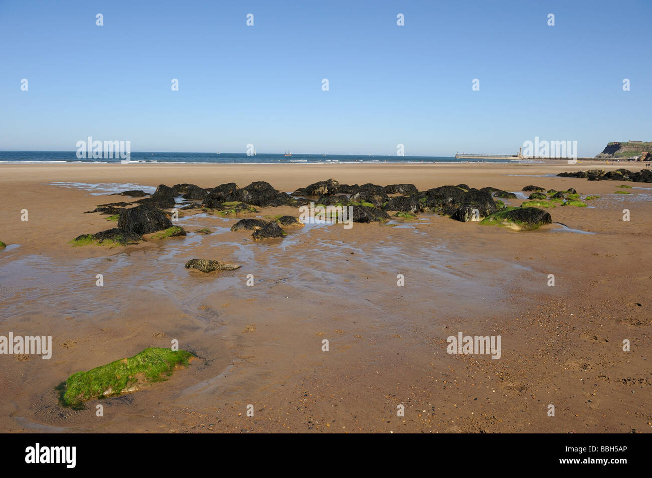 Seawead coperto spiaggia spiaggia di roccia con la bassa marea. Whitby sotto un cielo perfetto. Foto Stock