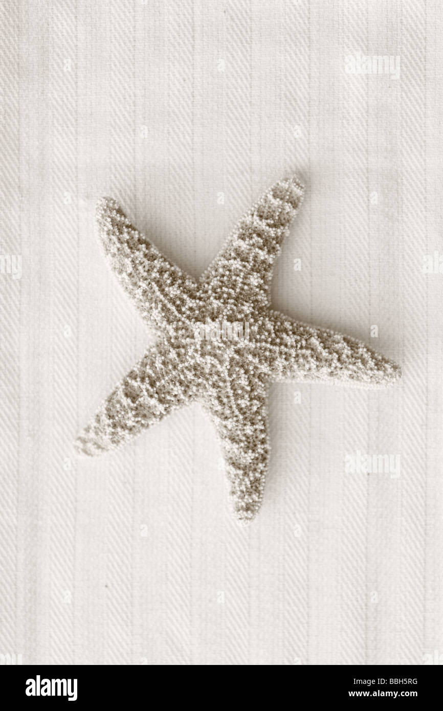 Immagine in bianco e nero di stelle marine su sfondo di lino Foto Stock
