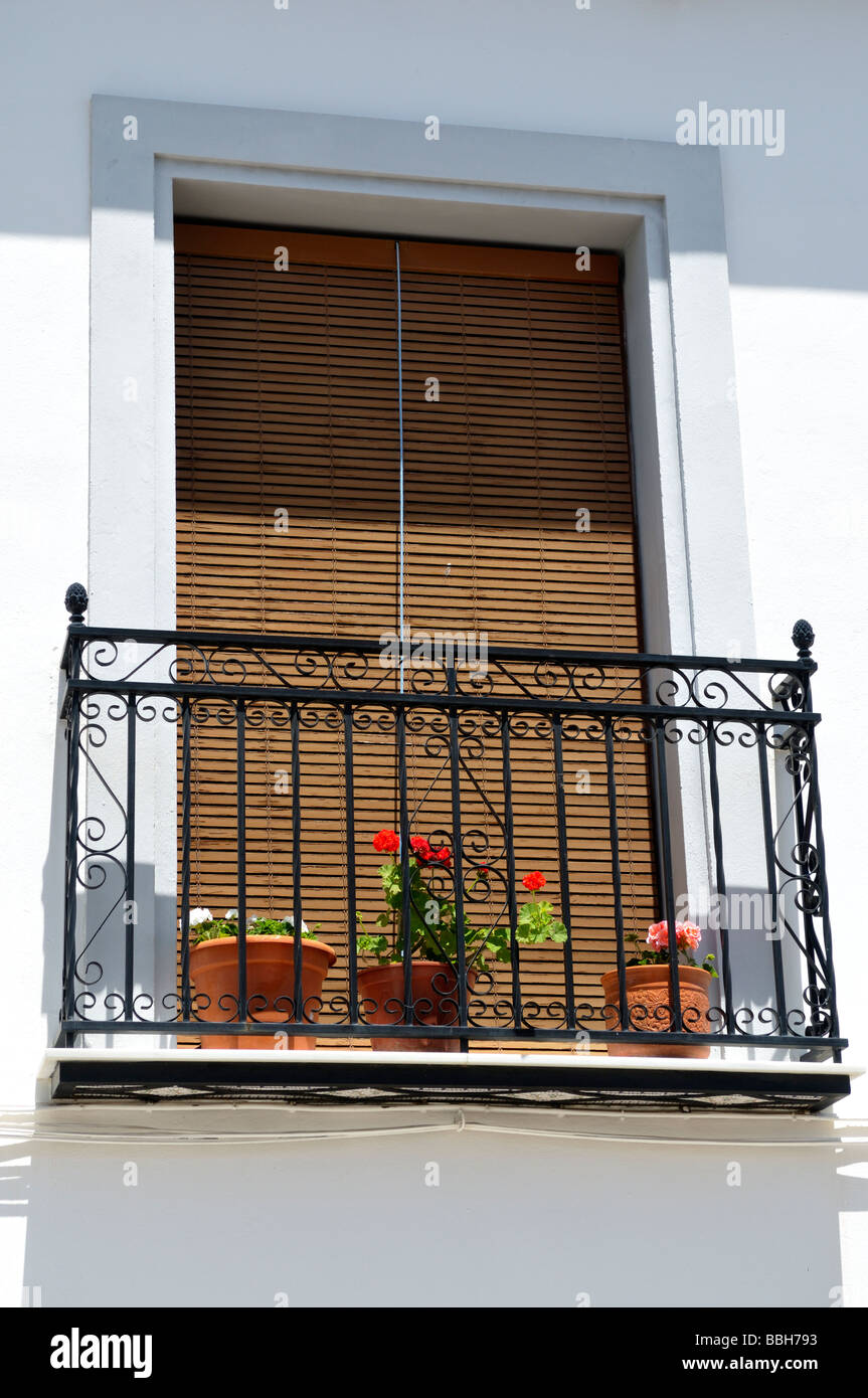 Finestra con tapparella di piante in vaso e metallo balcone Andalusia Spagna Foto Stock