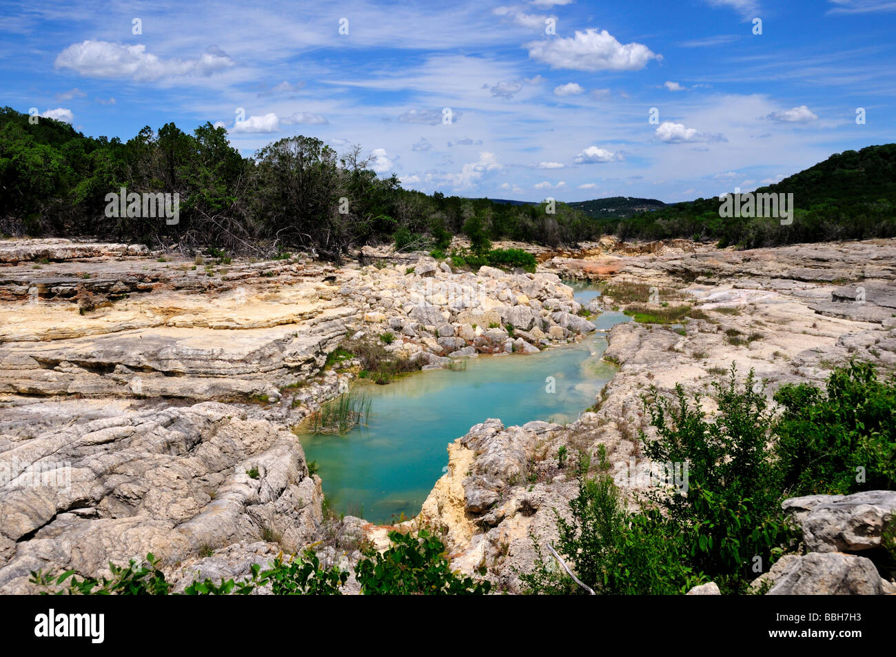 Canali di erosione in calcare del Texas Hill Country, STATI UNITI D'AMERICA. Foto Stock