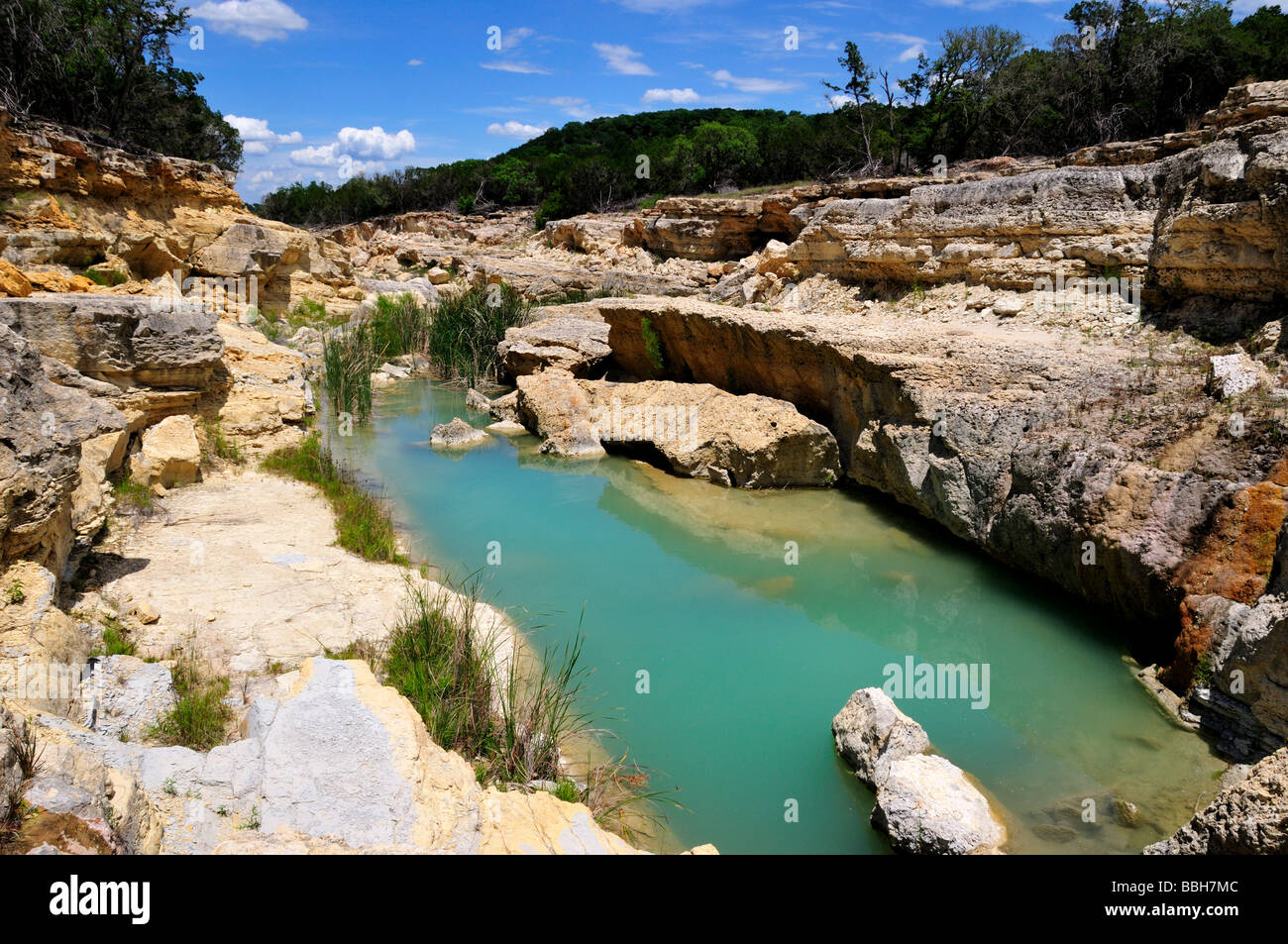 Un piccolo stagno in calcare del Texas Hill Country, STATI UNITI D'AMERICA. Foto Stock