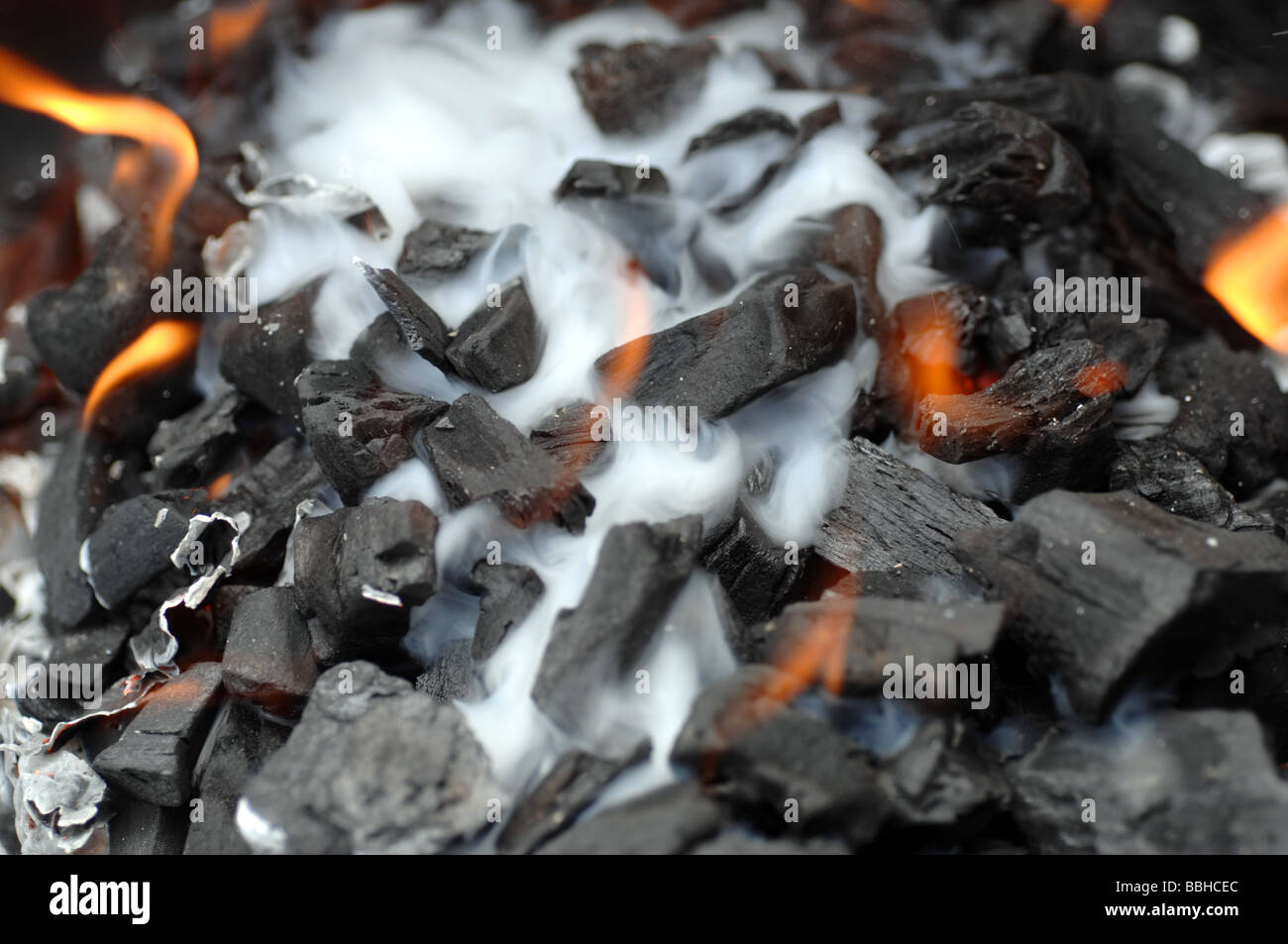 Barbecue carbone di legna, carbone per barbecue fire Foto Stock