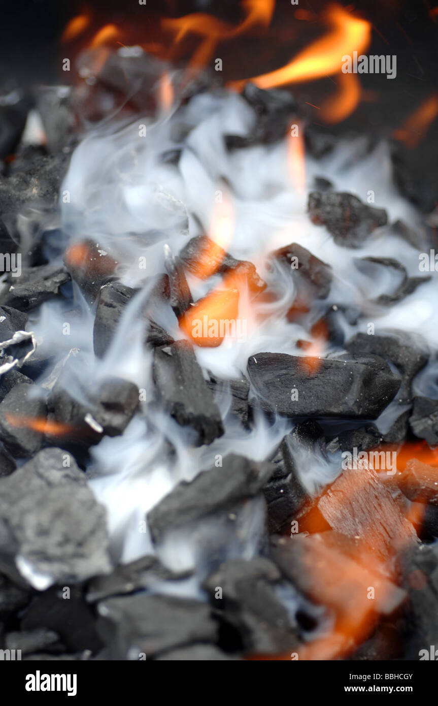 Barbecue carbone di legna, carbone per barbecue fire Foto Stock
