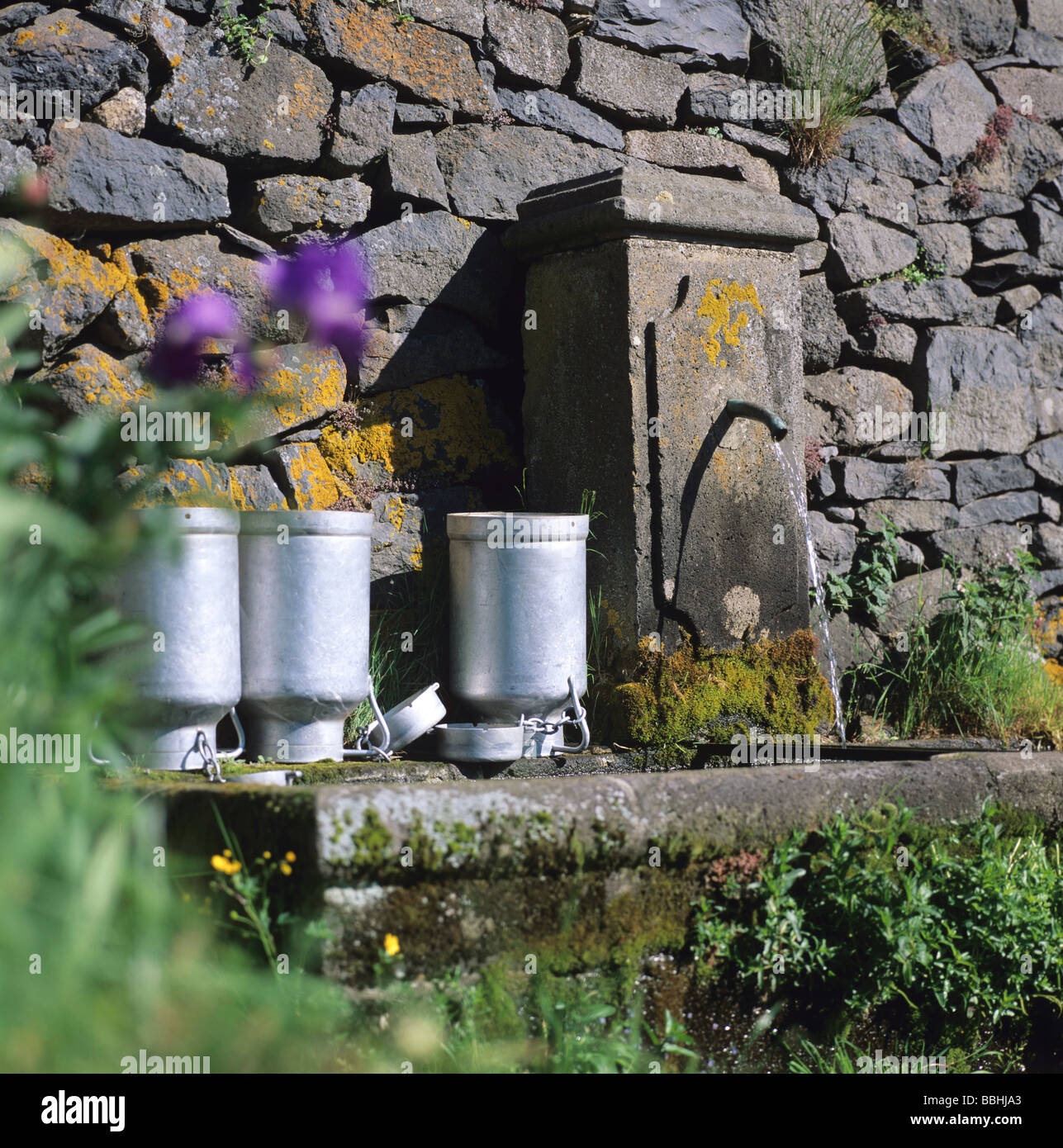 Fontana e lattine metalliche in Auvergne Puy de Dome. La Francia. Foto Stock