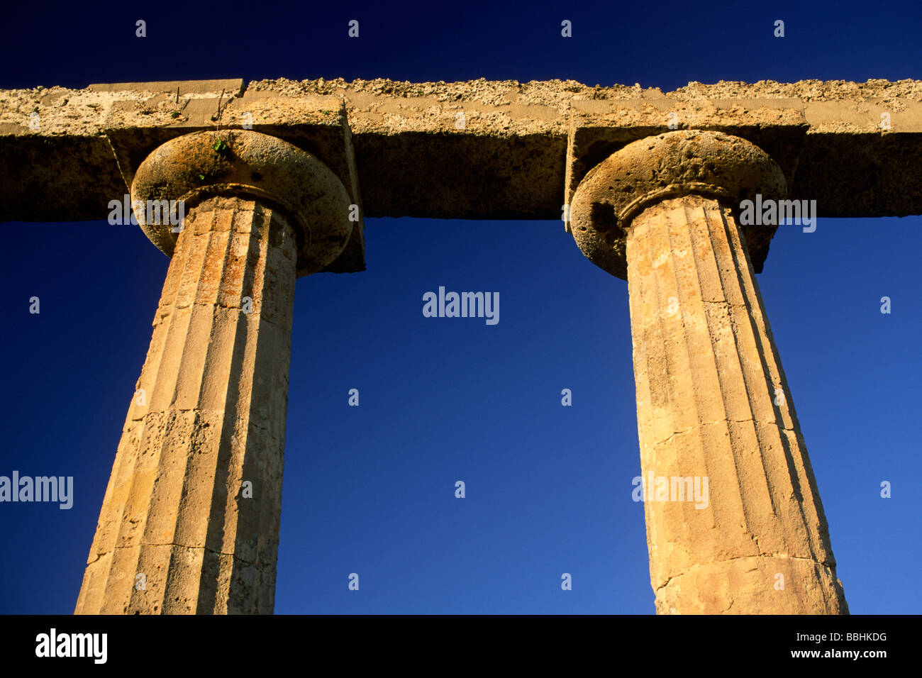 Italia, Basilicata, Metaponto, Tavole Palatine, tempio greco di era, colonne doriche Foto Stock
