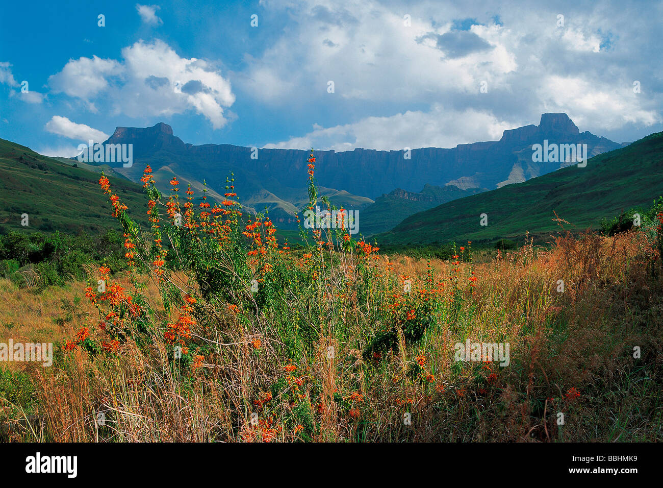 Anfiteatro di Drakensberg settentrionale Foto Stock