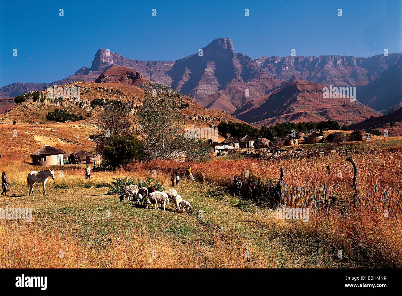 Una scena rurale contro uno sfondo montano è tipico delle colline ai piedi delle montagne di Drakensberg Foto Stock