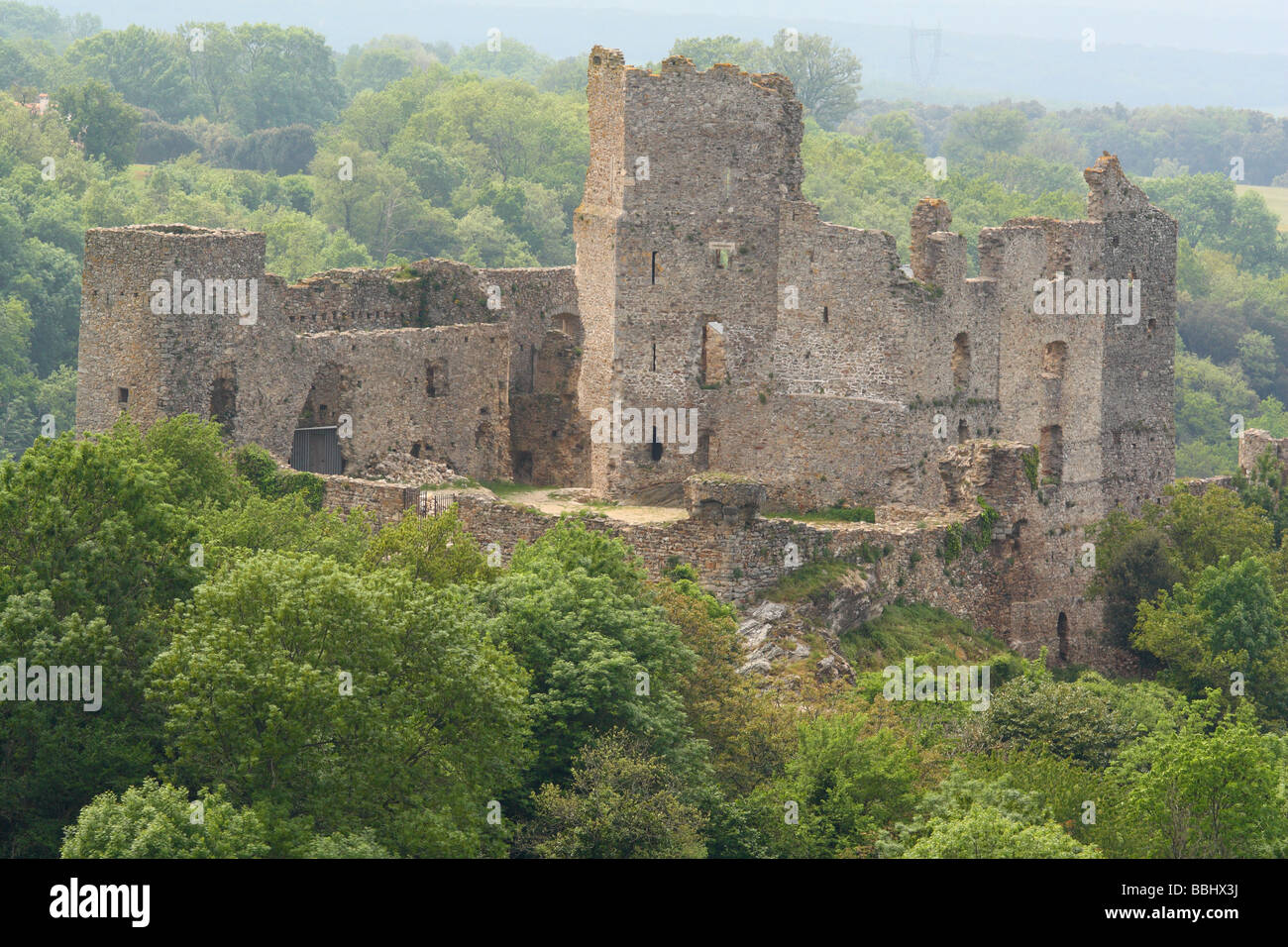 Rovinato fortezza Saissac Aude Languedoc-Roussillon Francia Foto Stock